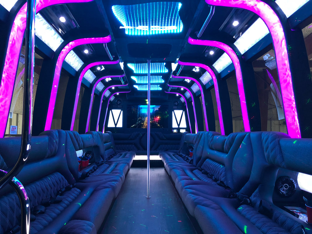 30 passenger party bus interior